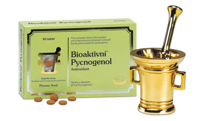 3793_BIOAKTIVNI PYCNOGENOL 90 TABLET